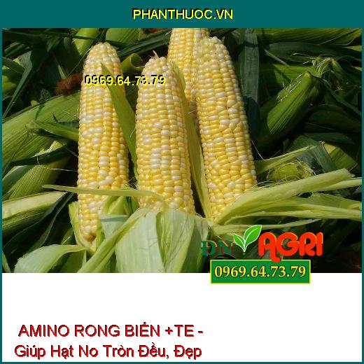 PHÂN BÓN LÁ TỔNG HỢP NPK AMINO RONG BIỂN +TE - Đẻ Nhánh, Nhiều Búp, Cành Sai Quả, Hạt No Tròn