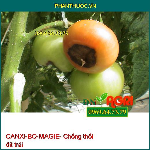 SIÊU ĐẬU TRÁI CHỐNG RỤNG CANXI-BO-MAGIE - ĐẬU TRÁI NON, CHỐNG RỤNG TRÁI