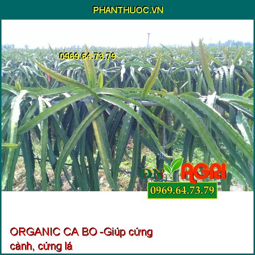 PHÂN BÓN VI LƯỢNG AGRO PACIOBO ORGANIC CA BO - Giúp Mát Cây, Mát Trái, Chống Rụng Hoa Trái Non