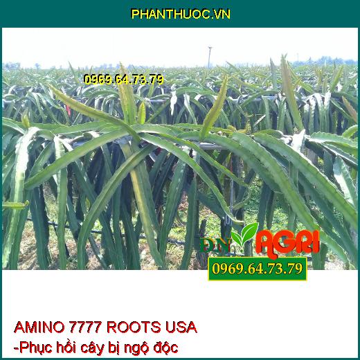 PHÂN BÓN VI LƯỢNG AMINO 7777 ROOTS USA - Dưỡng Rễ Cây Con, Hoa Kiểng, Rau Màu, Tái Tạo Rễ Bị Hư, Thối Rễ