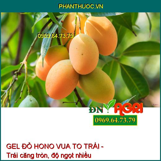 GEL ĐỎ HONO VUA TO TRÁI - Dưỡng Hoa, To Trái, Đẹp Mã, Củ To, Chắc Hạt