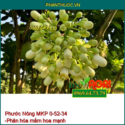 Phước Nông MKP 0-52-34 - Tạo Nhiều Mầm Hoa-Ra Hoa Nghịch Vụ-Lá Nhanh Già-Trổ Hoa Đều