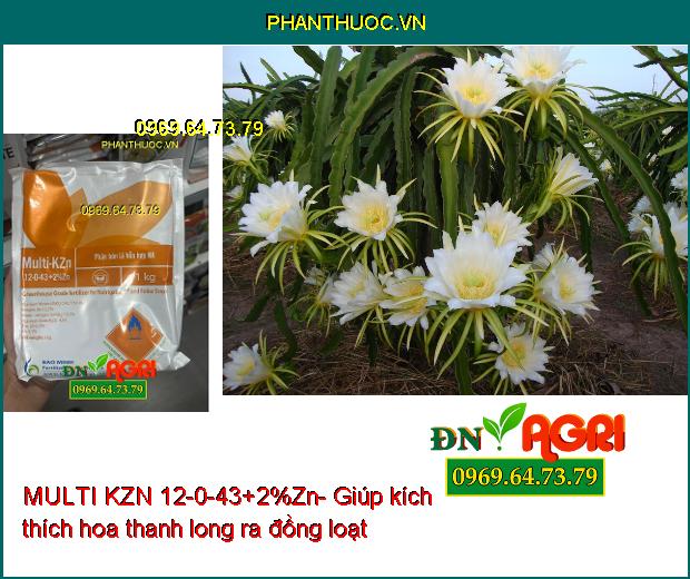 MULTI KZN 12-0-43+2%Zn-Trái Nhanh Lớn-Ra Hoa Đồng Loạt-Tăng Độ Ngọt-Tăng Đề Kháng