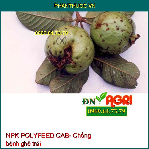 PHÂN BÓN LÁ NPK POLYFEED CAB- SIÊU SẠCH TRÁI- BÓNG TRÁI- LÊN MÀU ĐẸP