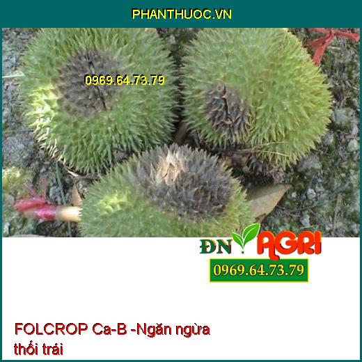 FOLCROP Ca-B - CHỐNG NỨT TRÁI, THỐI TRÁI, KHÁNG KHUẨN, KÍCH THÍCH RA HOA