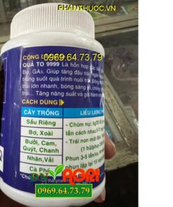 PHÂN BÓN VI LƯỢNG CÓ CHẤT ĐIỀU HÒA SINH TRƯỞNG AC TL QUA TO 9999 SUPER - Tăng Đậu Trái, Chống Rụng Hoa Và Trái Non, Trái Lớn Nhanh, Bóng Sáng Vỏ, Chống Sẹo Trái, Ghẻ Trái