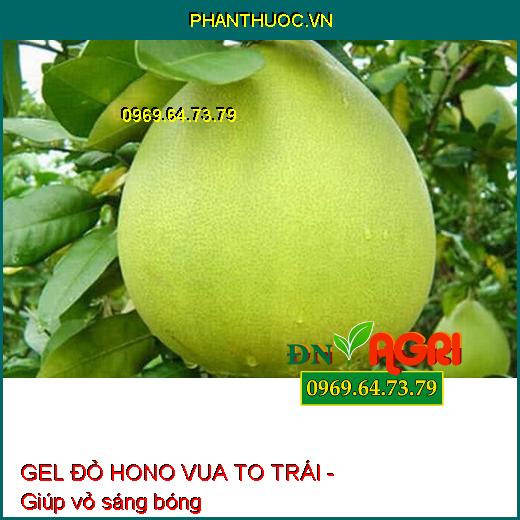 GEL ĐỎ HONO VUA TO TRÁI - Dưỡng Hoa, To Trái, Đẹp Mã, Củ To, Chắc Hạt