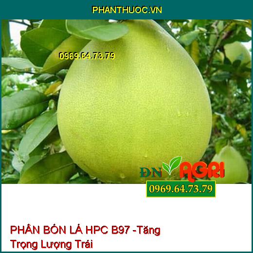 PHÂN BÓN LÁ HPC B97 - Tăng Đậu Quả, Ngăn Rụng Trái, Chuyên Dùng Cho Cây Ăn Trái