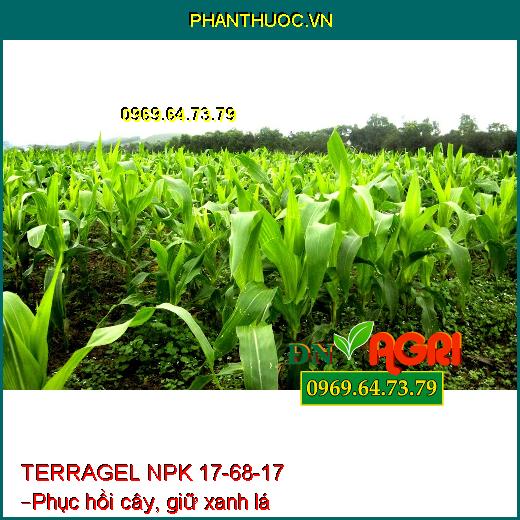 TERRAGEL NPK 17-68-17 – Kích Hoa Đồng Loạt, Ra Rễ Cực Mạnh