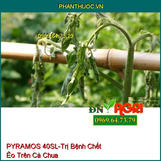 THUỐC TRỪ BỆNH PYRAMOS 40SL - Đặc Trị Các Loại Nấm Bệnh, Bạc Lá Trên Lúa