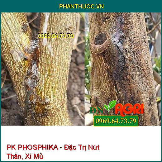 PHÂN BÓN HỖN HỢP PK PHOSPHIKA - Đặc Trị Nứt Thân, Xì Mủ, Đốm Lá, Vàng Lá