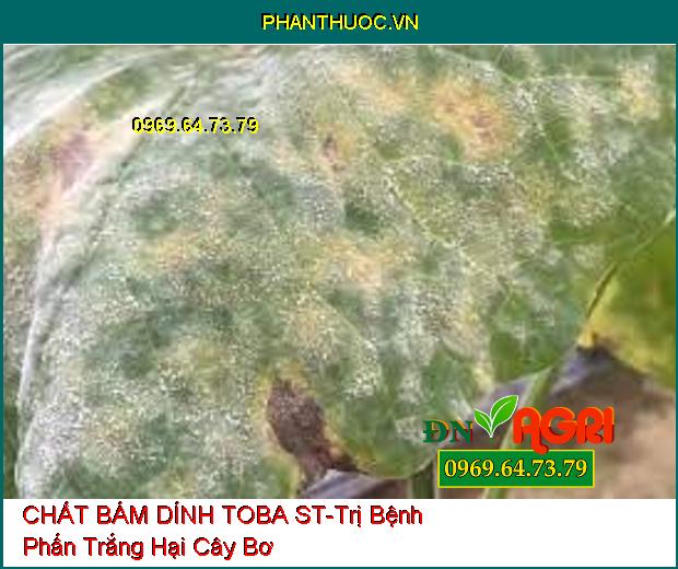 CHẤT BÁM DÍNH TOBA ST - Tăng Bám Dính, Rửa Rong Rêu, Sạch Nấm Bệnh