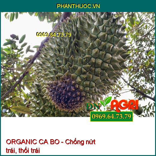 PHÂN BÓN VI LƯỢNG AGRO PACIOBO ORGANIC CA BO - Giúp Mát Cây, Mát Trái, Chống Rụng Hoa Trái Non