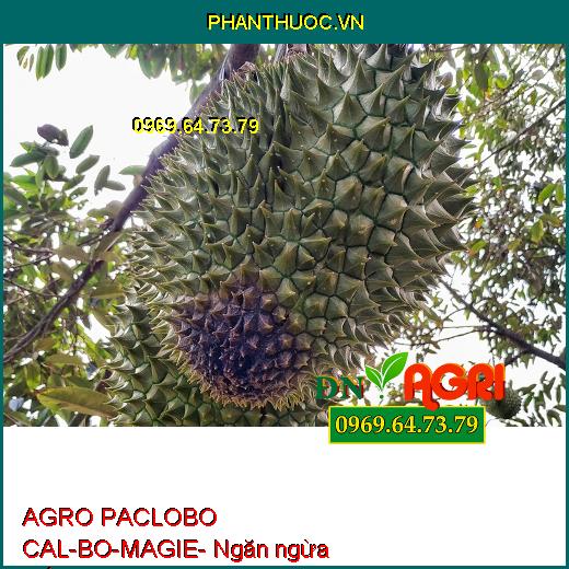 AGRO PACLOBO CAL-BO-MAGIE- Hạn Chế Rụng Trái, Tăng Thụ Phấn, Chống Nứt, Méo Trái