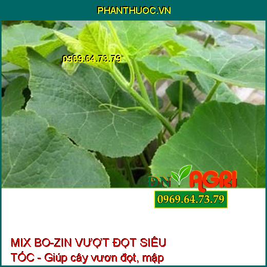 MIX BO-ZIN VƯỢT ĐỌT SIÊU TỐC - Mập Đọt, Đọt Vươn Daì, Hạn Chế Nghẹn Đầu Lân