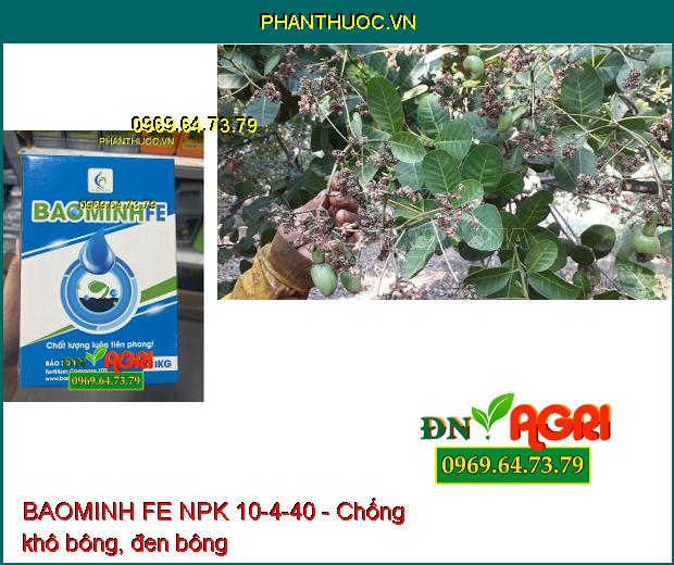 BAOMINH FE NPK 10-4-40 Kích Ra Hoa Đồng Loạt- Lớn Trái- Phát Triển Cực Mạnh