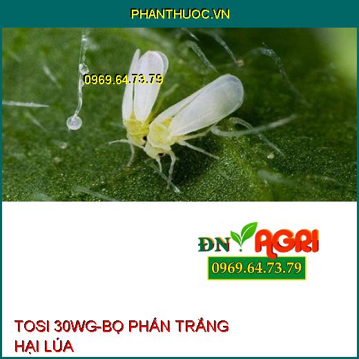 TOSI 30WG DIỆT CHÍCH HÚT - Đặc Trị Rầy Nâu, Rầy Mềm, Rầy Chổng Cánh, Bọ Xít