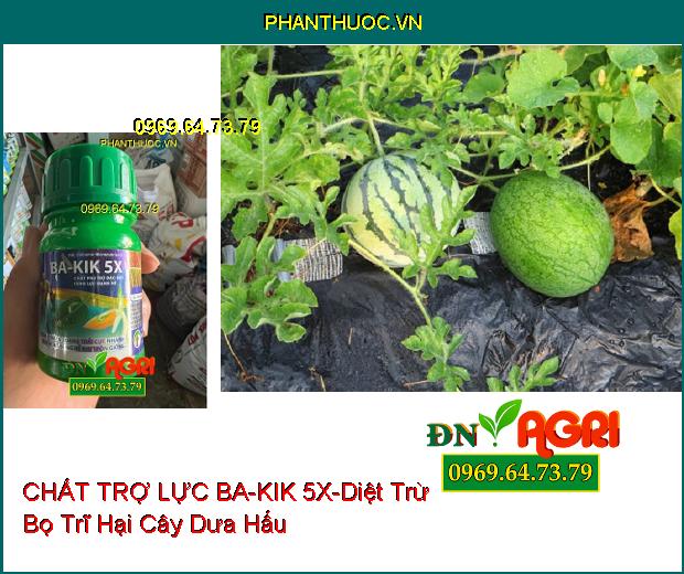 CHẤT TRỢ LỰC DÙNG TRONG NÔNG NGHIỆP ABC BOBOMIC MICRONUTRIENTS BA-KIK 5X 100ML LƯU DẪN 2 CHIỀU