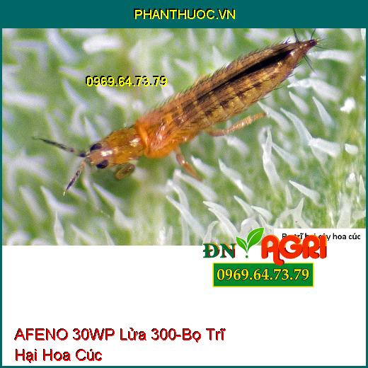 AFENO 30WP Lửa 300 - Trừ Rầy Nâu- Bọ Trĩ-Rệp Sáp- Bọ Xít Muỗi- Rầy Xanh