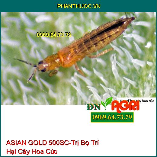 THUỐC TRỪ SÂU ASIAN GOLD 500SC THIURON 500SC - Đặc Trị Nhện Trên Cây Có Múi