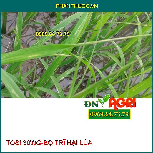 TOSI 30WG DIỆT CHÍCH HÚT - Đặc Trị Rầy Nâu, Rầy Mềm, Rầy Chổng Cánh, Bọ Xít