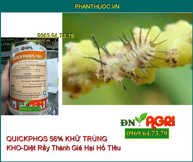 QUICKPHOS 56% THUỐC KHỬ TRÙNG KHO - Dùng Để Diệt, Phòng Trứng, Ấu Trùng, Kén, Nhộng, Con Trưởng Thành Các Loại Côn Trùng Gây Hại