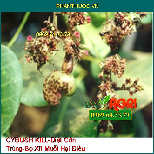 MOSJAPAN 275EC CYBUSH KILL- Diệt Ruồi-Kiến-Gián- Diệt Trứng Và Xua Đuổi Mạnh