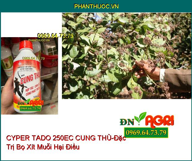 THUỐC TRỪ SÂU CYPER TADO 250EC CUNG THỦ -Đặc Trị Sâu Đục Thân, Sâu Cuốn Lá, Sâu Keo, Sâu Phao Đục Bẹ, Sâu Tơ