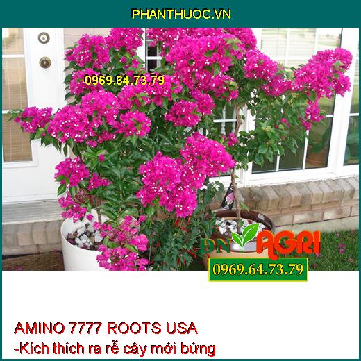 PHÂN BÓN VI LƯỢNG AMINO 7777 ROOTS USA - Dưỡng Rễ Cây Con, Hoa Kiểng, Rau Màu, Tái Tạo Rễ Bị Hư, Thối Rễ