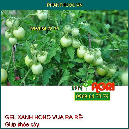 GEL XANH HONO VUA RA RỄ – Siêu Ra rễ, Vọt Đọt, Tái Sinh Hệ Rễ, Bung Cành Vọt Đọt, Xanh Cây