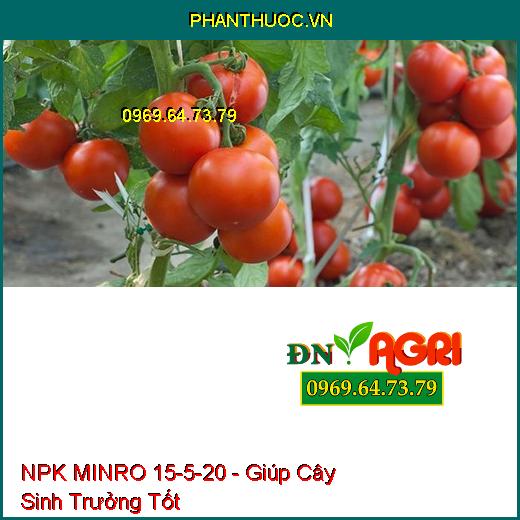 PHÂN BÓN HỖN HỢP NPK MINRO 15-5-20 - Giúp Cây Ra Hoa, Ra Trái Đồng Loạt, Lá Xanh Mướt, Bộ Rễ Khỏe