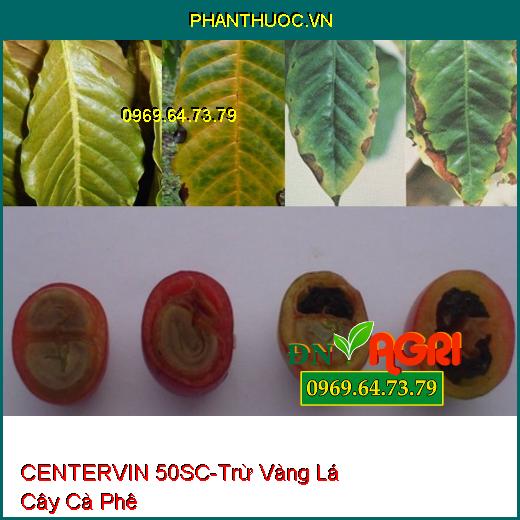 THUỐC TRỪ BỆNH CENTERVIN 50SC Tốt Cây Xanh Lá- Trừ Lem Lép Hạt- Đốm Lá- Vàng Lá- Khô Vằn