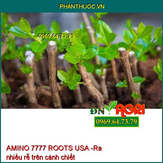 PHÂN BÓN VI LƯỢNG AMINO 7777 ROOTS USA - Dưỡng Rễ Cây Con, Hoa Kiểng, Rau Màu, Tái Tạo Rễ Bị Hư, Thối Rễ