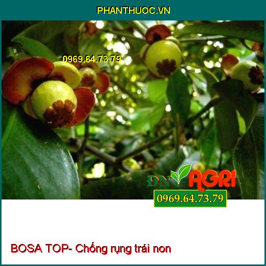 BOSA TOP- Bậc Thầy Tạo Mầm Hoa Nghịch Vụ- Chống Rụng Trái Non- Diu Đọt Lá Nhanh Già