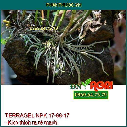 TERRAGEL NPK 17-68-17 – Kích Hoa Đồng Loạt, Ra Rễ Cực Mạnh