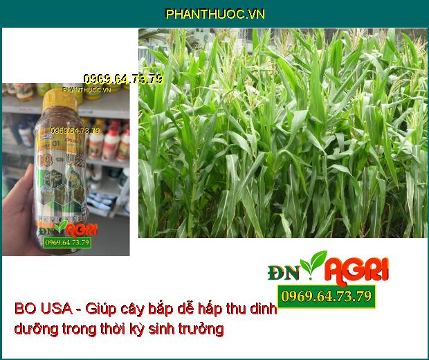 BO USA Bổ Sung BO Giúp Tăng Đậu Trái- Dưỡng To Trái- Chống Nứt Trái- Ra Hoa Sớm