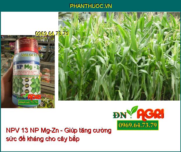 NPV 13 NP Mg-Zn - Xanh Lá- Cứng Cây- Sáng Trái- Màu Trái Đẹp- Chống Vàng Lá