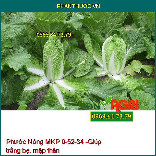 Phước Nông MKP 0-52-34 - Tạo Nhiều Mầm Hoa-Ra Hoa Nghịch Vụ-Lá Nhanh Già-Trổ Hoa Đều