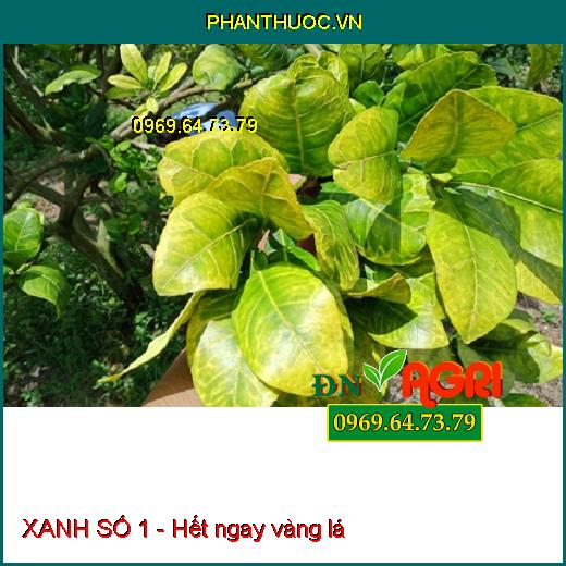 XANH SỐ 1 - CHỐNG RỤNG HOA,TRÁI NON-GIÚP CÂY XANH LÁ-NÂNG CAO CHẤT LƯỢNG SẢN PHẨM