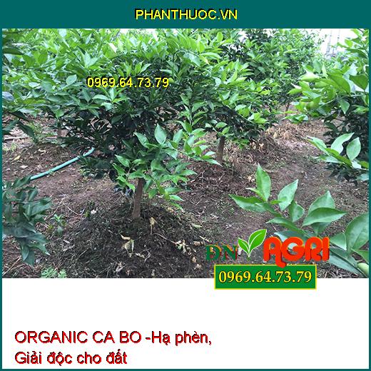 PHÂN BÓN VI LƯỢNG AGRO PACIOBO ORGANIC CA BO - Giúp Mát Cây, Mát Trái, Chống Rụng Hoa Trái Non