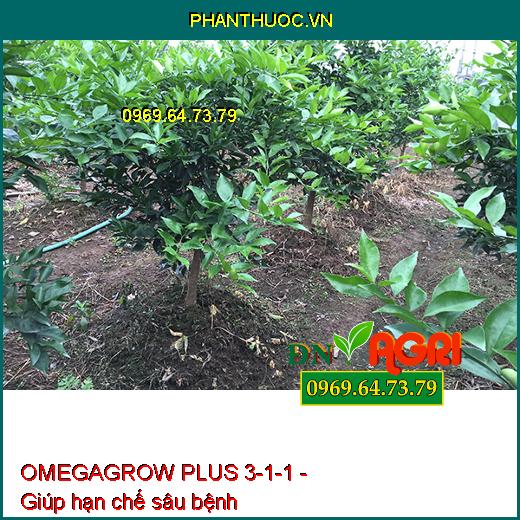 PHÂN BÓN LÁ OMEGAGROW PLUS 3-1-1 - Đâm Chồi, Phát Đọt, Phát Rễ, Lá Xanh, Dày Lá, Lớn Trái