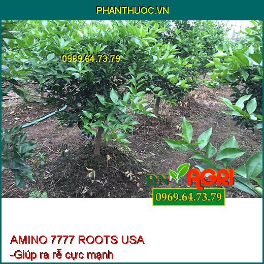 PHÂN BÓN VI LƯỢNG AMINO 7777 ROOTS USA - Dưỡng Rễ Cây Con, Hoa Kiểng, Rau Màu, Tái Tạo Rễ Bị Hư, Thối Rễ