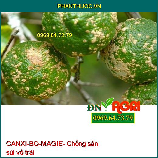 SIÊU ĐẬU TRÁI CHỐNG RỤNG CANXI-BO-MAGIE - ĐẬU TRÁI NON, CHỐNG RỤNG TRÁI