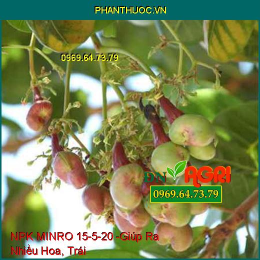 PHÂN BÓN HỖN HỢP NPK MINRO 15-5-20 - Giúp Cây Ra Hoa, Ra Trái Đồng Loạt, Lá Xanh Mướt, Bộ Rễ Khỏe