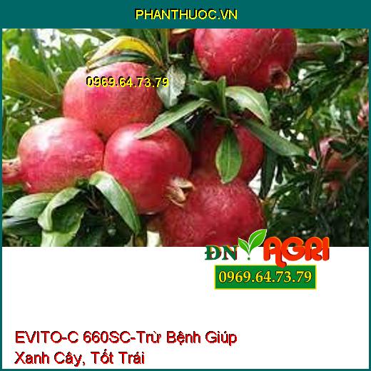 EVITO-C 660SC -  THUỐC TRỪ BỆNH CHUYÊN TRỊ NẤM BỆNH KHÓ TRỊ, SẠCH BỆNH, XANH CÂY, ĐẸP QUẢ