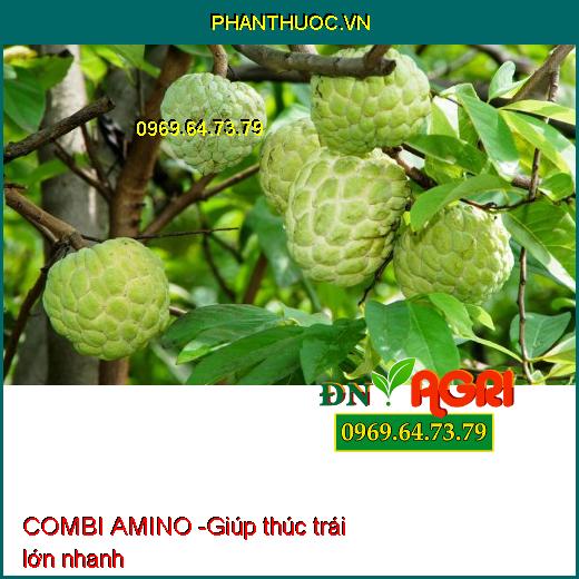 PHÂN BÓN VI LƯỢNG COMBI AMINO - Lá Xanh Dày, Mập Chồi Thân To, To Trái Nặng Ký