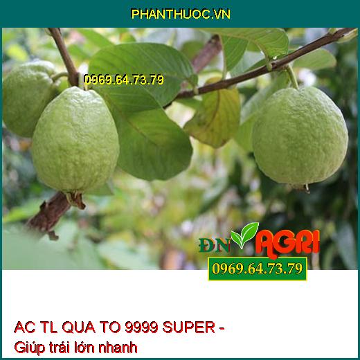 PHÂN BÓN VI LƯỢNG CÓ CHẤT ĐIỀU HÒA SINH TRƯỞNG AC TL QUA TO 9999 SUPER - Tăng Đậu Trái, Chống Rụng Hoa Và Trái Non, Trái Lớn Nhanh, Bóng Sáng Vỏ, Chống Sẹo Trái, Ghẻ Trái