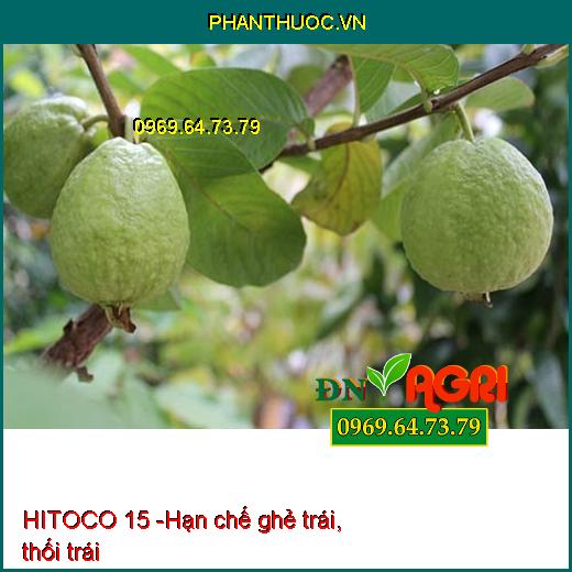 PHÂN BÓN VI LƯỢNG HITOCO 15 - Mập Đọt Mập Bông, Phì Trái, Kéo Dãn Trái