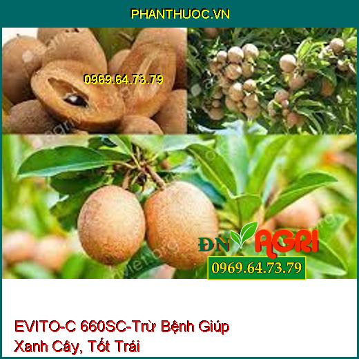 EVITO-C 660SC -  THUỐC TRỪ BỆNH CHUYÊN TRỊ NẤM BỆNH KHÓ TRỊ, SẠCH BỆNH, XANH CÂY, ĐẸP QUẢ