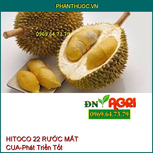 HITOCO 22 RƯỚC MẮT CUA - Rước Hoa Đồng Loạt, Chống Rụng Hoa, Rụng Trái Non